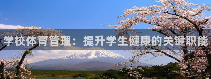 必一运动体育官网下载