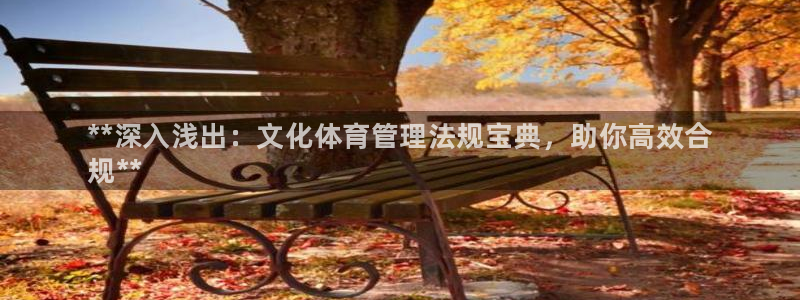 必一体育是啥：**深