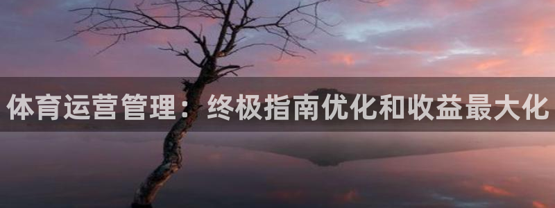 必一体育网站：体育运