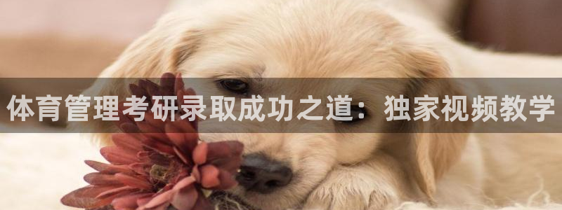 必一运动体育：体育管