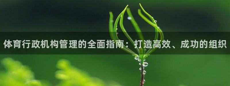 必一体育官方入口：体