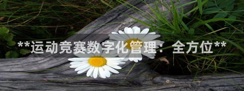 必一运动验证码：**