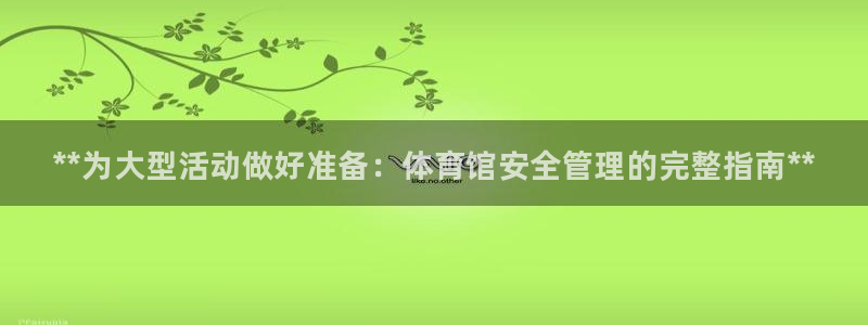 必一体育sportB体育：**为大型活动做好准备：体育馆安全