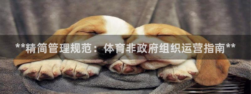 必一体育登录APP下