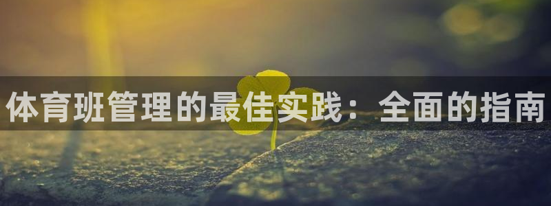 必一体育APP：体育