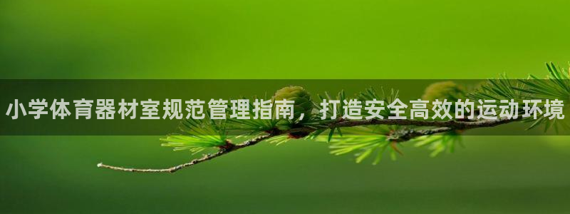 必一运动sport爱查股：小学体育器材室规范管理指南，打造安