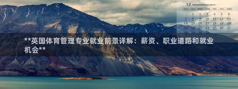 必一体育电子app：