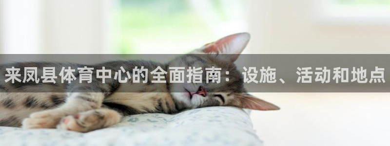 必一体育在线登录：来