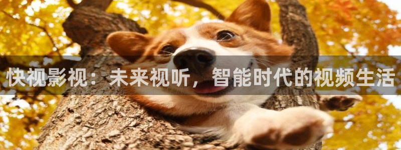 驰策影院在线