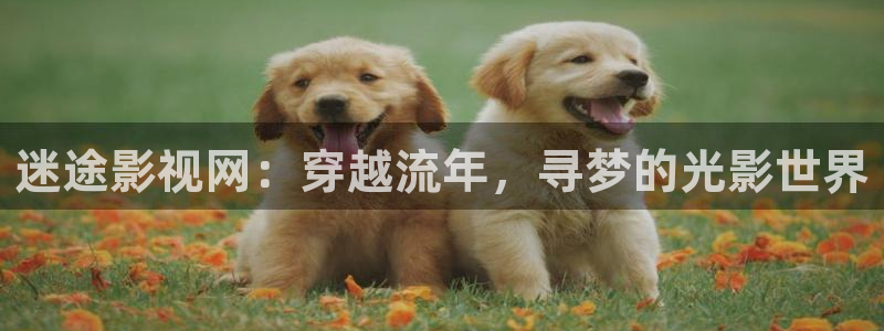 驰策驰影院理论