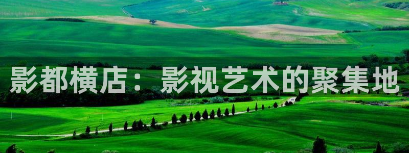 驰策电影网