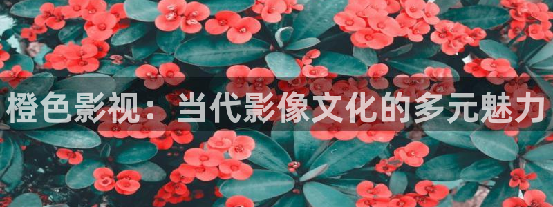 驰策驰影院 电视剧