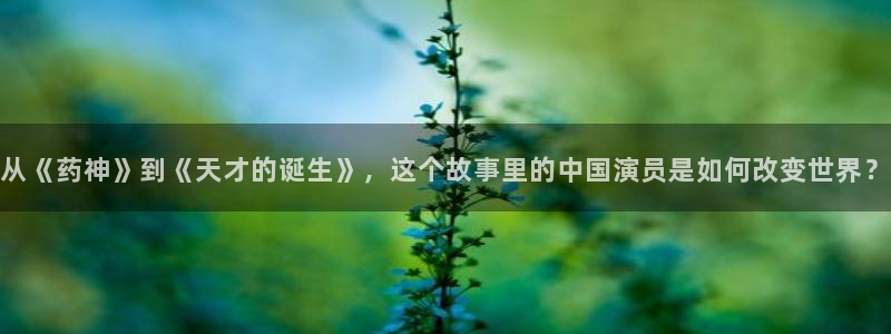驰策影视首页