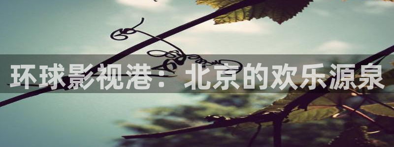 策驰策影院