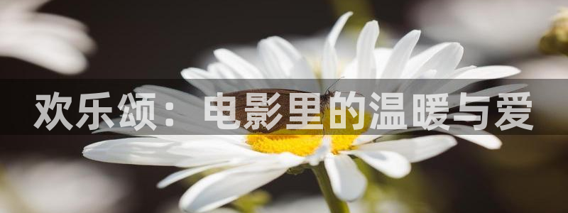 免费电影驰策