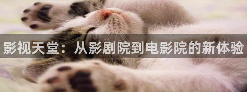 柳舟记驰策影院